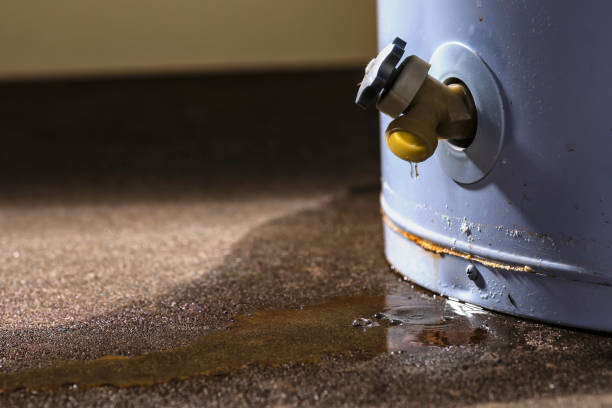 Best Commercial water damage restoration  in Sylva, NC