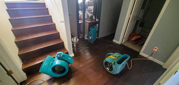 Best Water damage cleanup near me  in Sylva, NC