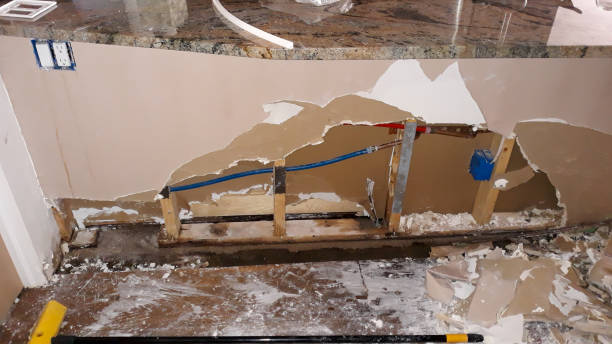 Best Local water damage restoration  in Sylva, NC