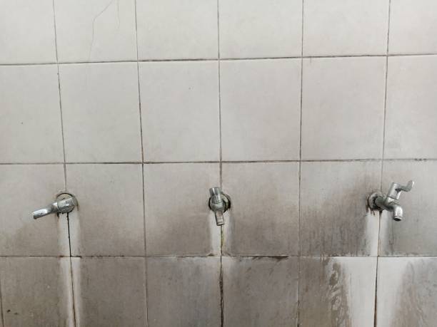 Best Flood restoration services  in Sylva, NC