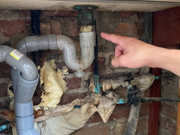 Best Residential water damage restoration  in Sylva, NC
